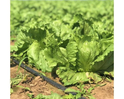 Лента эмиттерная для капельного полива Kemal Garden Drip 20 (500м) 9 mil (0,23мм), Турция