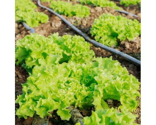 Лента эмиттерная для капельного полива Kemal Garden Drip 10 (300м) 9 mil, Турция