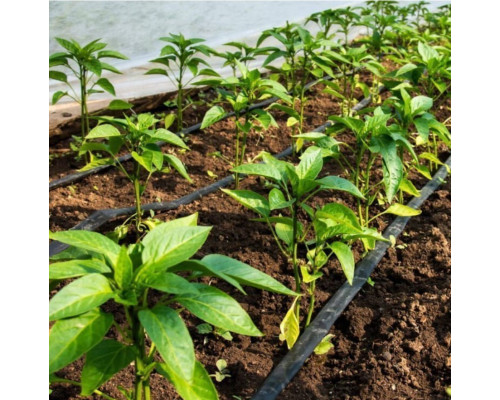 Лента эмиттерная для капельного полива Kemal Garden Drip 20 (500м) 9 mil (0,23мм), Турция