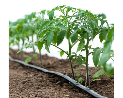 Лента эмиттерная для капельного полива Kemal Garden Drip 20 (500м) 9 mil (0,23мм), Турция