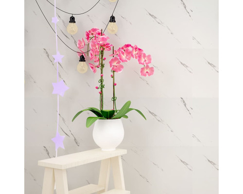 Самоклеюча стінова PET плитка 600*300*2mm (D) SW-00001679