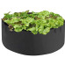 Садовая клумба AgroTeks 120х20см/226 л